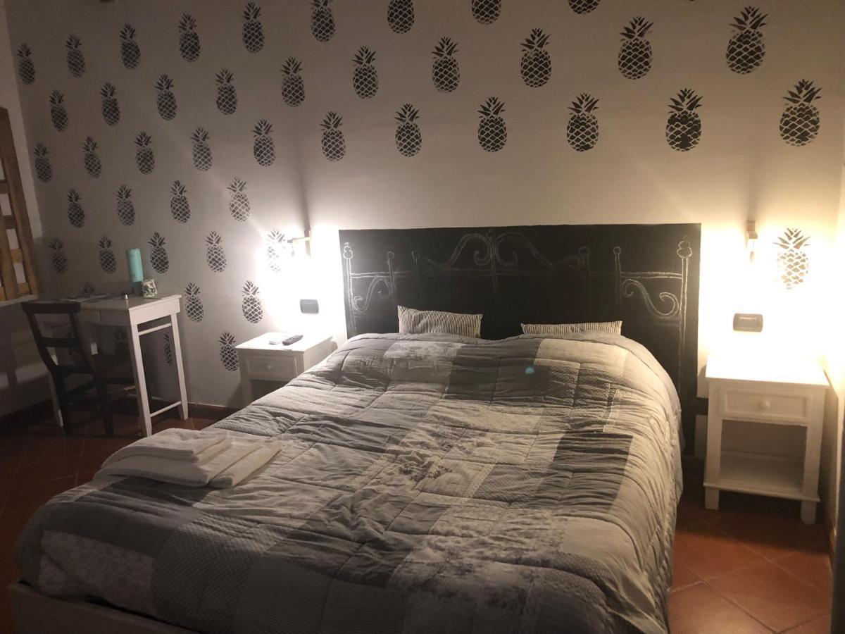 B&B Ocagiuliva Riparbella Exteriér fotografie
